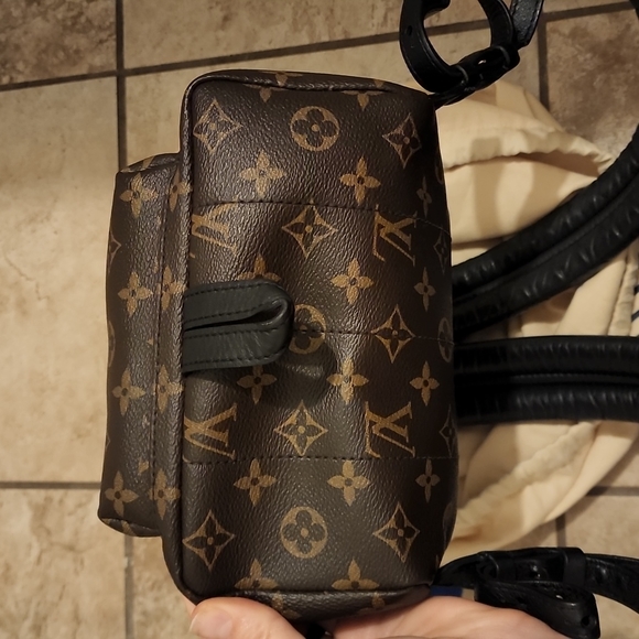 Louis VuittonPalm Springs Backpack Monogram Canvas PM - Picture 3 of 6